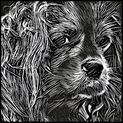 Picture of Cavalier King Charles Spaniel-Licorice Lines Mug