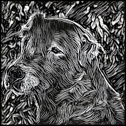 Picture of Central Asian Shepherd Dog-Licorice Lines Mug