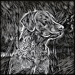 Picture of Chesapeake Retriever-Licorice Lines Mug