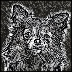 Picture of Chihuahua Long Hair-Licorice Lines Mug