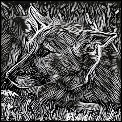 Picture of Chinook-Licorice Lines Mug