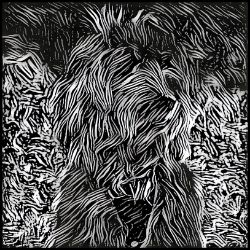 Picture of Cockapoo-Licorice Lines Mug