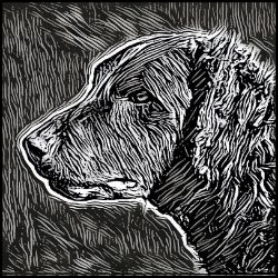 Picture of Curly Coated Retriever-Licorice Lines Mug
