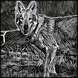 Picture of Czechoslovakian Vilocak-Licorice Lines Mug