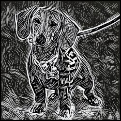 Picture of Dachshund-Licorice Lines Mug