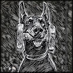 Picture of Doberman-Licorice Lines Mug