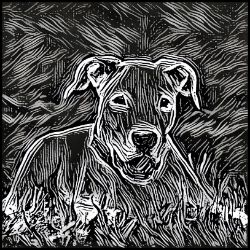 Picture of Dogo Argentino-Licorice Lines Mug