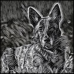 Picture of Dutch Shepherd-Licorice Lines Mug