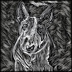 Picture of English Bull Terrier-Licorice Lines Mug