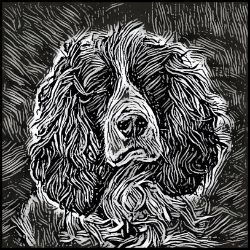 Picture of English Springer Spaniel-Licorice Lines Mug