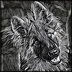 Picture of German Shepherd-Licorice Lines Mug