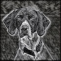 Picture of German Shorthaired Pointer-Licorice Lines Mug