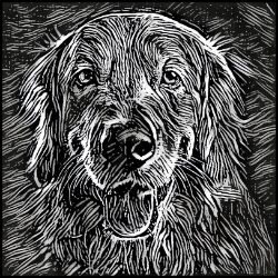 Picture of Golden Retriever-Licorice Lines Mug