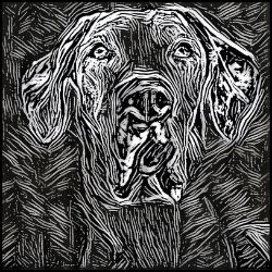 Picture of Great Dane-Licorice Lines Mug