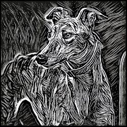 Picture of Greyhound-Licorice Lines Mug