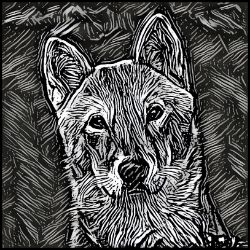 Picture of Jindo-Licorice Lines Mug