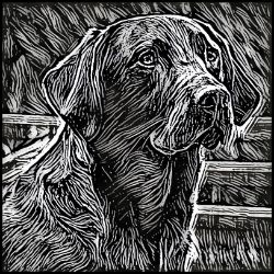 Picture of Labrador Retriever-Licorice Lines Mug