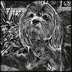 Picture of Lhasa Apso-Licorice Lines Mug