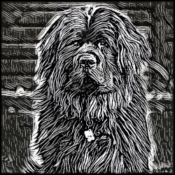 Picture of Newfoundland-Licorice Lines Mug