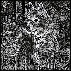 Picture of Norwegian Buhund-Licorice Lines Mug