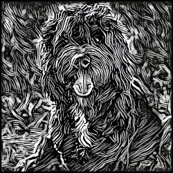 Picture of Portuguese Water Dog-Licorice Lines Mug