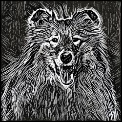 Picture of Rough Collie-Licorice Lines Mug