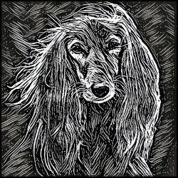 Picture of Saluki-Licorice Lines Mug