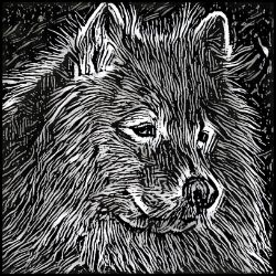 Picture of Samoyed-Licorice Lines Mug