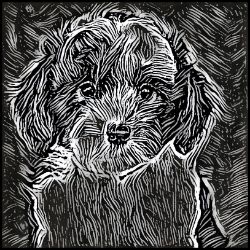 Picture of Sheepadoodle-Licorice Lines Mug