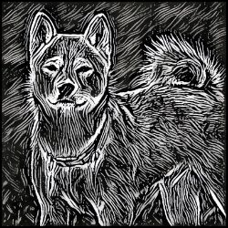 Picture of Shiba Inu-Licorice Lines Mug