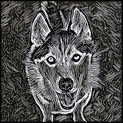 Picture of Siberian Husky-Licorice Lines Mug