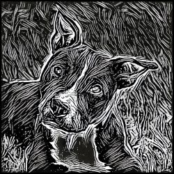 Picture of Staffordshire Bull Terrier-Licorice Lines Mug