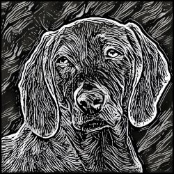 Picture of Weimaraner-Licorice Lines Mug