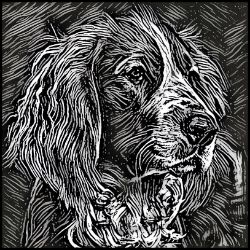 Picture of Welsh Springer Spaniel-Licorice Lines Mug