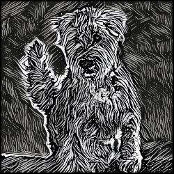 Picture of Wheaten Terrier-Licorice Lines Mug