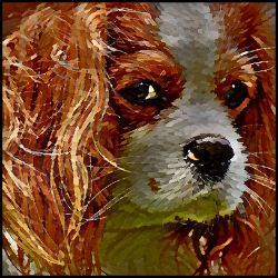 Picture of Cavalier King Charles Spaniel-Lord Lil Bit Mug