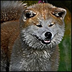 Picture of Japanese Akita Inu-Lord Lil Bit Mug