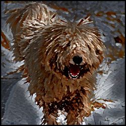 Picture of Komondor-Lord Lil Bit Mug