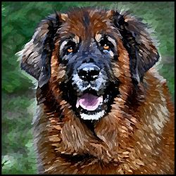 Picture of Leonberger-Lord Lil Bit Mug