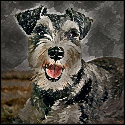Picture of Miniature Schnauzer-Lord Lil Bit Mug