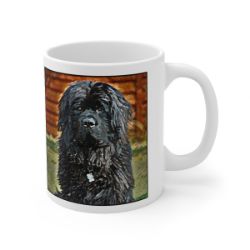 Picture of Newfoundland-Lord Lil Bit Mug