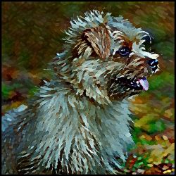 Picture of Norfolk Terrier-Lord Lil Bit Mug