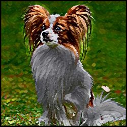 Picture of Papillon-Lord Lil Bit Mug