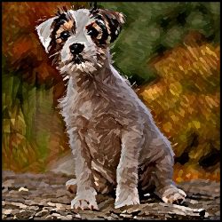 Picture of Parson Russell Terrier-Lord Lil Bit Mug