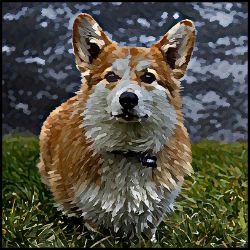 Picture of Pembroke Welsh Corgi-Lord Lil Bit Mug
