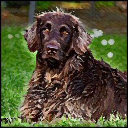 Picture of Pointer-Lord Lil Bit Mug