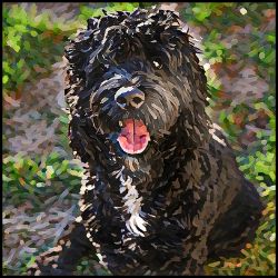 Picture of Portuguese Water Dog-Lord Lil Bit Mug