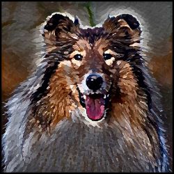 Picture of Rough Collie-Lord Lil Bit Mug