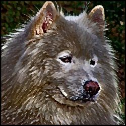 Picture of Samoyed-Lord Lil Bit Mug