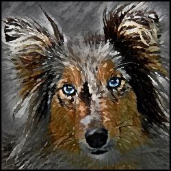 Picture of Shetland Sheepdog-Lord Lil Bit Mug